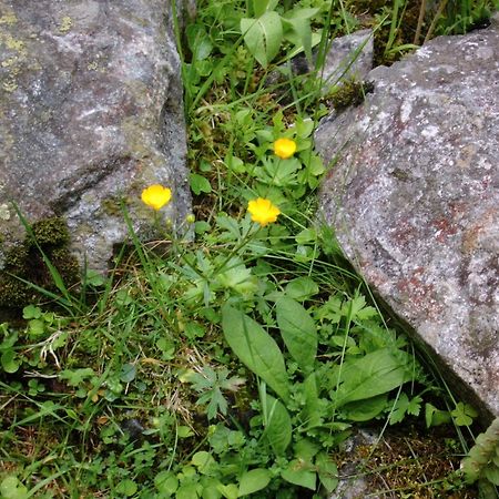 Landhaus Tirol Zellberg المظهر الخارجي الصورة