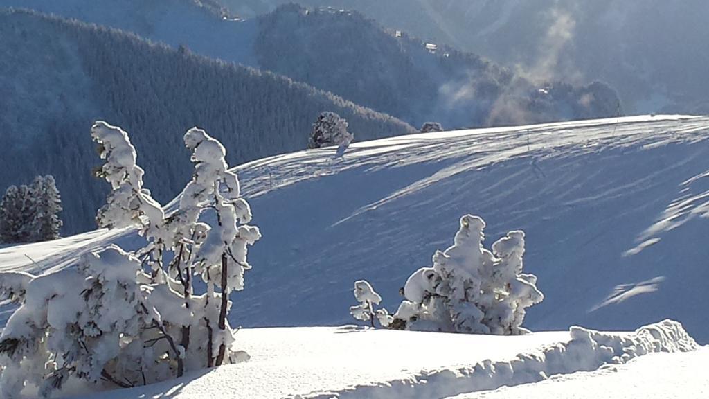Landhaus Tirol Zellberg المظهر الخارجي الصورة