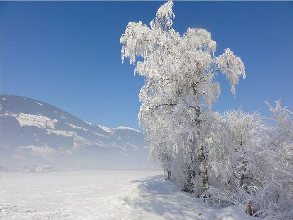 Landhaus Tirol Zellberg المظهر الخارجي الصورة