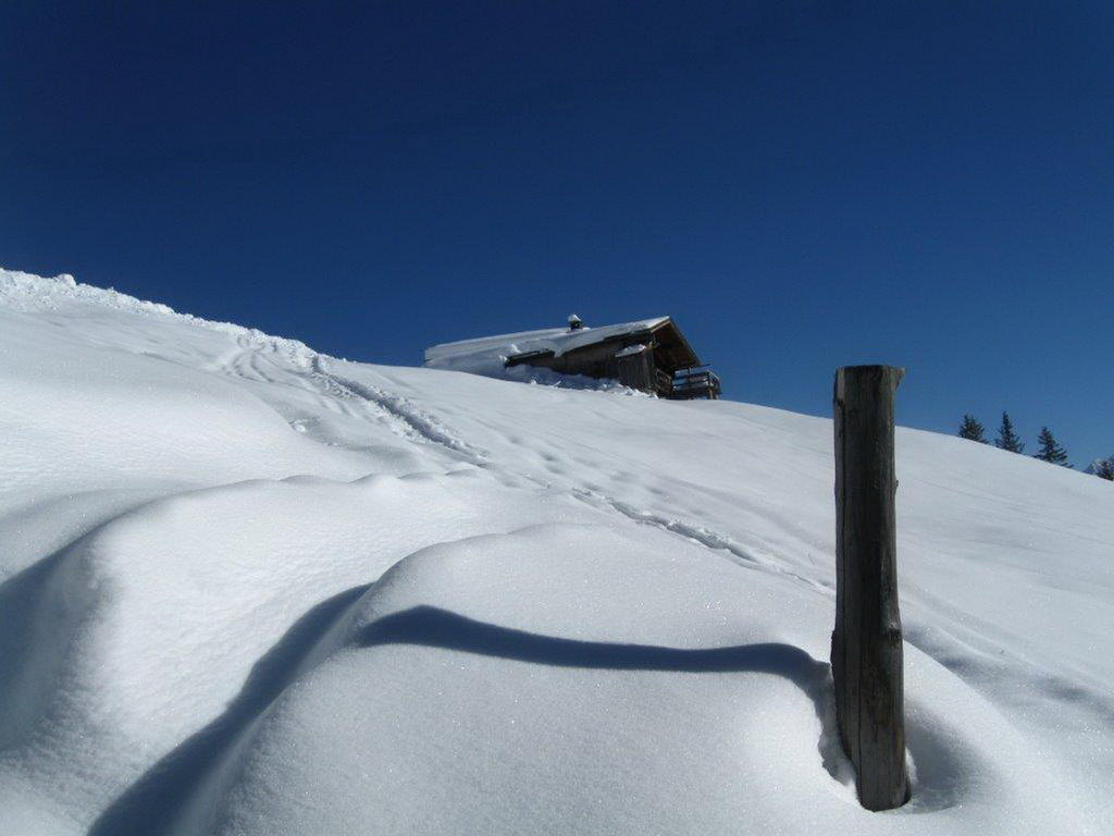 Landhaus Tirol Zellberg المظهر الخارجي الصورة